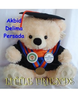 Boneka Wisuda Akademi Kebidanan Delima Persada (30 cm)